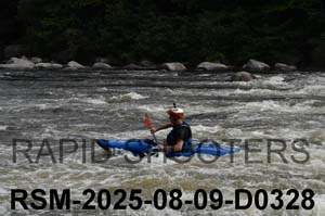 RSM-2025-08-09-D0328