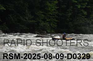 RSM-2025-08-09-D0329