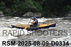 RSM-2025-08-09-D0334
