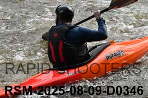 RSM-2025-08-09-D0346