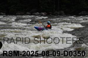 RSM-2025-08-09-D0350
