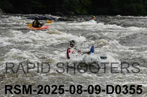 RSM-2025-08-09-D0355