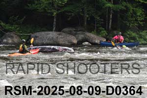 RSM-2025-08-09-D0364