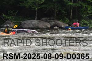 RSM-2025-08-09-D0365