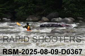 RSM-2025-08-09-D0367
