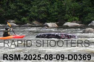 RSM-2025-08-09-D0369