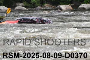 RSM-2025-08-09-D0370