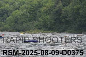 RSM-2025-08-09-D0375