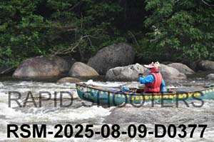 RSM-2025-08-09-D0377