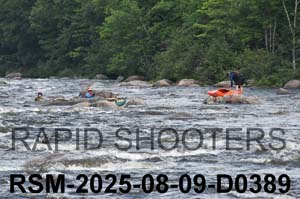 RSM-2025-08-09-D0389