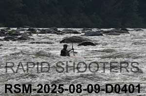RSM-2025-08-09-D0401