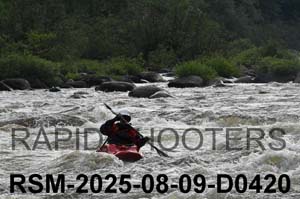 RSM-2025-08-09-D0420
