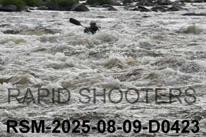 RSM-2025-08-09-D0423