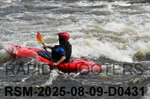 RSM-2025-08-09-D0431