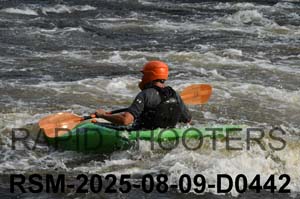 RSM-2025-08-09-D0442