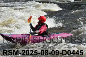 RSM-2025-08-09-D0445