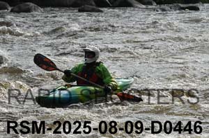 RSM-2025-08-09-D0446