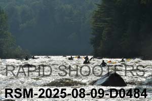 RSM-2025-08-09-D0484