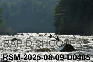 RSM-2025-08-09-D0485
