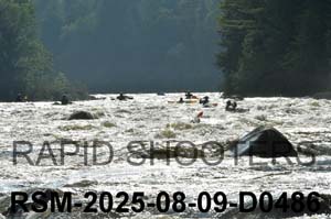 RSM-2025-08-09-D0486