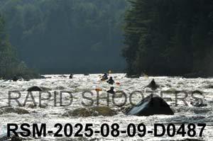 RSM-2025-08-09-D0487