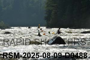 RSM-2025-08-09-D0488