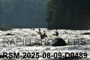 RSM-2025-08-09-D0489