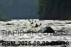 RSM-2025-08-09-D0490