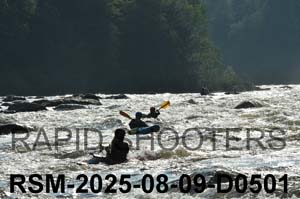 RSM-2025-08-09-D0501