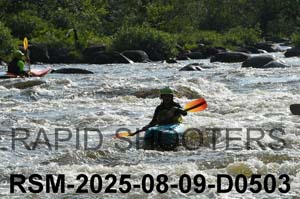 RSM-2025-08-09-D0503