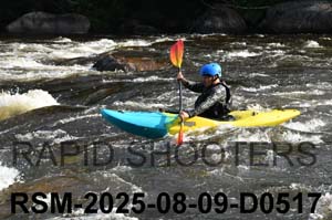 RSM-2025-08-09-D0517