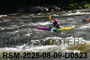 RSM-2025-08-09-D0523