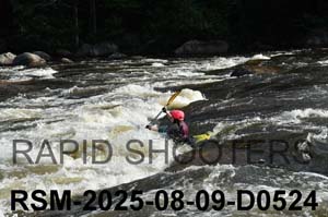 RSM-2025-08-09-D0524