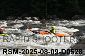 RSM-2025-08-09-D0528