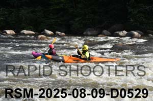 RSM-2025-08-09-D0529