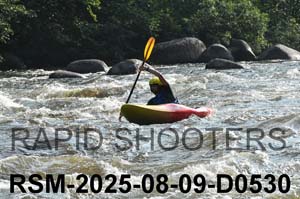 RSM-2025-08-09-D0530