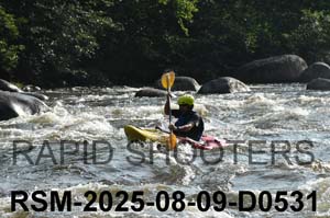 RSM-2025-08-09-D0531