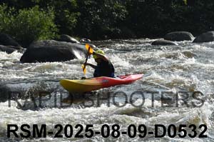 RSM-2025-08-09-D0532