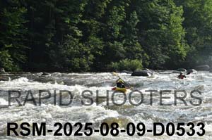 RSM-2025-08-09-D0533
