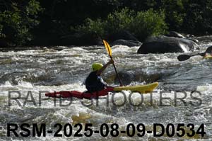 RSM-2025-08-09-D0534