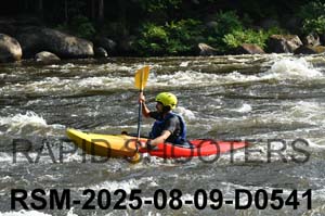 RSM-2025-08-09-D0541