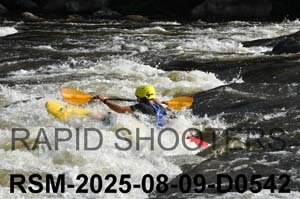 RSM-2025-08-09-D0542