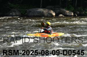 RSM-2025-08-09-D0545