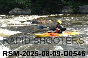 RSM-2025-08-09-D0546