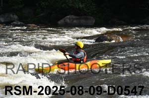 RSM-2025-08-09-D0547
