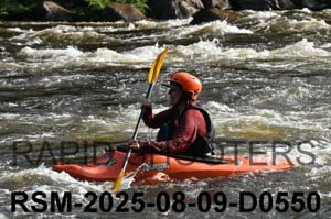 RSM-2025-08-09-D0550