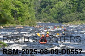 RSM-2025-08-09-D0557