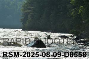 RSM-2025-08-09-D0558
