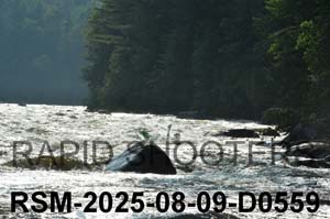 RSM-2025-08-09-D0559