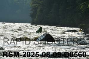 RSM-2025-08-09-D0560
